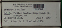 Image Associated With the Occurence